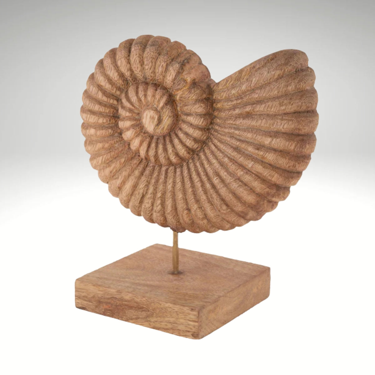 A decorative carved wooden nautilus shell sculpture mounted on a metal rod with a square wooden base.