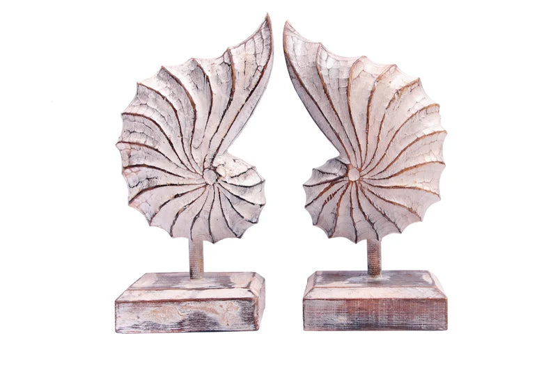 A hand-carved wooden nautilus shell sculpture with a distressed white finish.