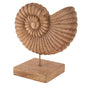 Coastal Shell Wooden Sculpture-Anticoarte
