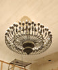 The Imperial Helix Of Eternal Luminaire | Anticoarte